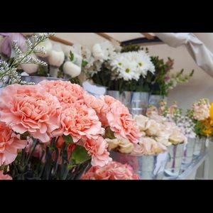 Meet your Posher, Ellen